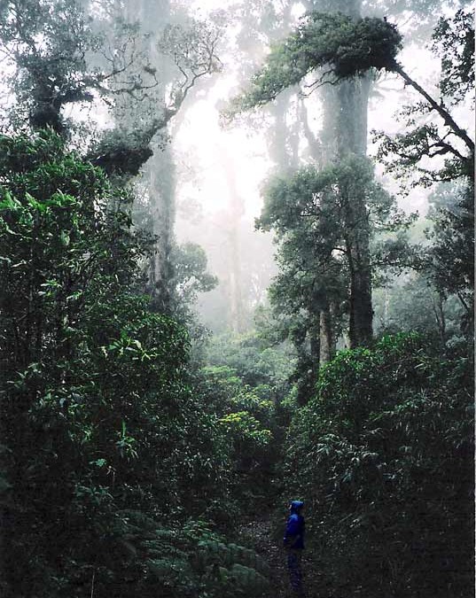 Guatemala2